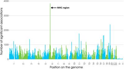 Current HLA Investigations on SARS-CoV-2 and Perspectives